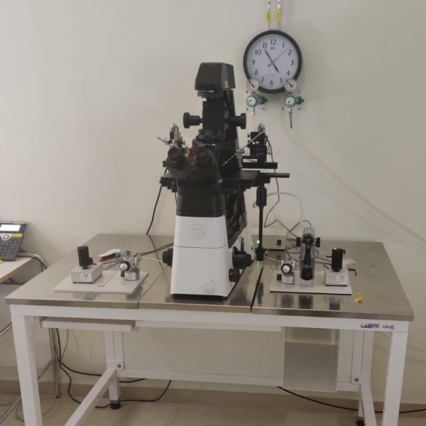 Equipamiento de laboratorio y microscopía